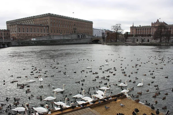 Une Journée Bien Remplie Stockholm Falun Suède — Photo