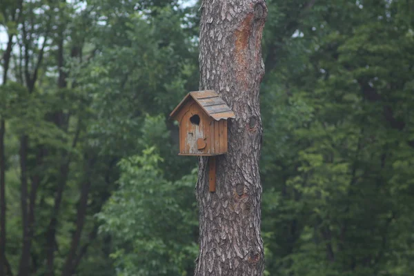 Mezhyhirya Residence Bahçe