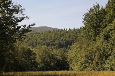 Yaremche, Karpat Dağları'nda tatil