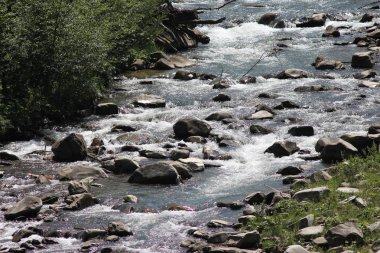 Yaremche, Karpat Dağları'nda tatil