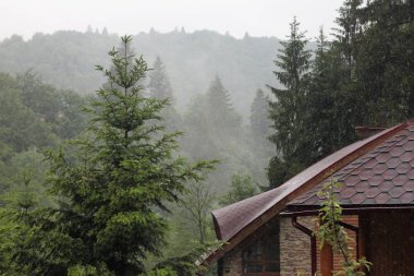 Yaremche, Karpat Dağları'nda tatil