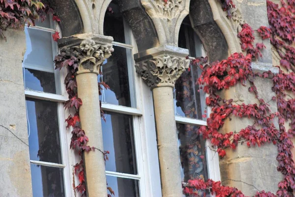 День Осені Оксфорді — стокове фото