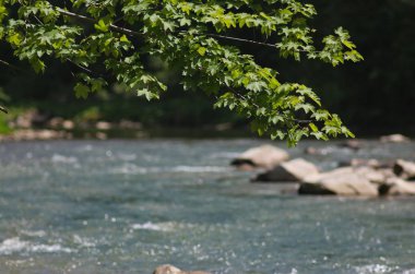 Yaremche, Karpat Dağları, Ukrayna