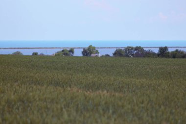 Lebedivka, Bessarabia, Odessa Bölgesi, Ukrayna