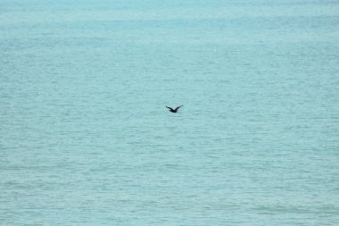 Lebedivka, Bessarabia, Odessa Bölgesi, Ukrayna