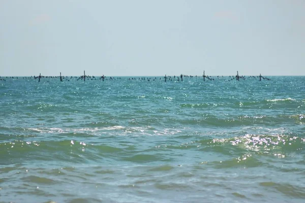 Lebedivka, Bessarabia, Odessa Bölgesi, Ukrayna