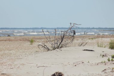 Vilkovo ve Tuna Biyosfer Rezervi. Besarabia, 