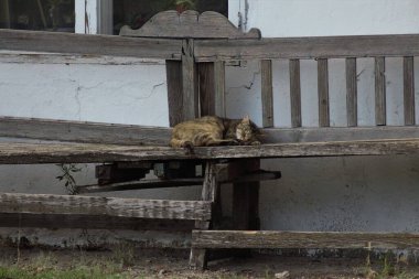 Chateau de Lacarin (Shabo, Odessa Bölgesi, Ukrayna)
