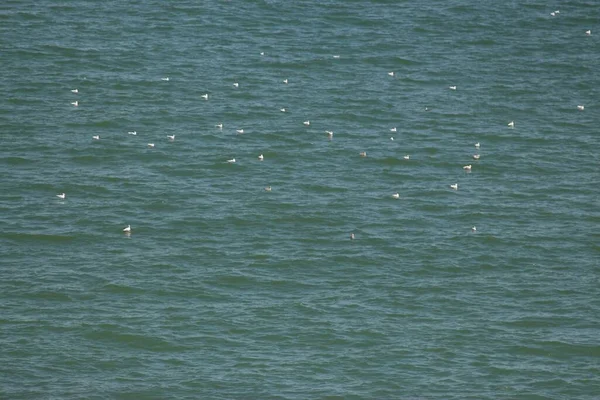 Sanzhiyka Chornomorsk Schwarzes Meer Gebiet Odessa Ukraine — Stockfoto