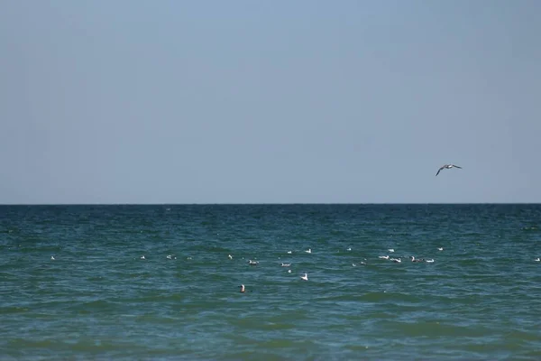 Sanzhiyka Chornomorsk Schwarzes Meer Gebiet Odessa Ukraine — Stockfoto