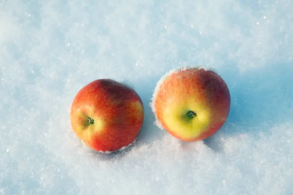 Apples White Snow Winter — ストック写真