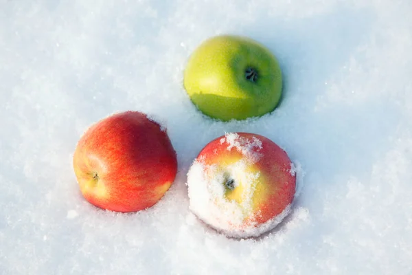 Apples on white snow in winter