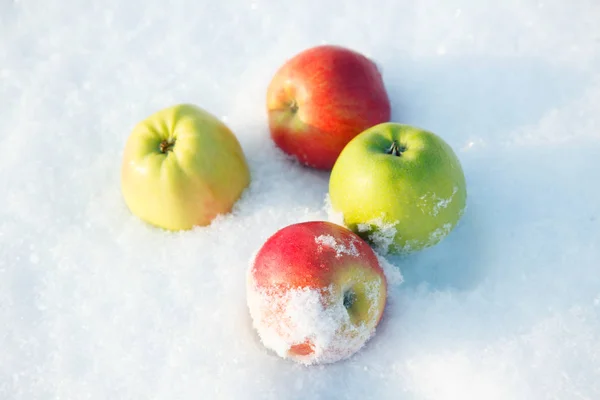 Apples White Snow Winter — Stock Photo, Image