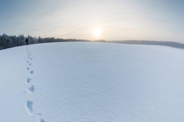 Kış manzarası kar alanı ve izleri bir adamla
