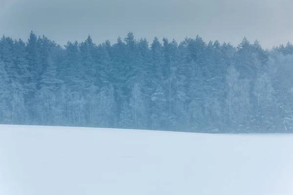 Winterlandschaft Mit Wald — Stockfoto