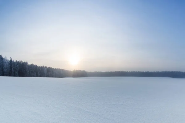 Vinterlandskap Med Skog — Stockfoto