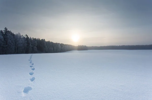 Winterlandschaft Mit Einem Mann Auf Dem Schneefeld Und Spuren — Stockfoto