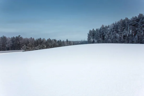 Paysage Hivernal Avec Champ Neige Forêt — Photo