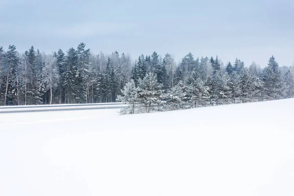 Zimní Krajina Lesem — Stock fotografie