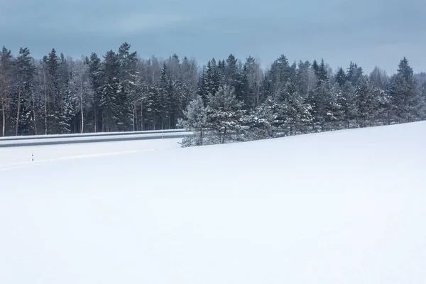 Зимний Пейзаж Лесом — стоковое фото
