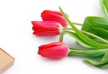 Beyaz zemin üzerinde üç Lale