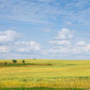 Yaz peyzaj alanı ve gökyüzü
