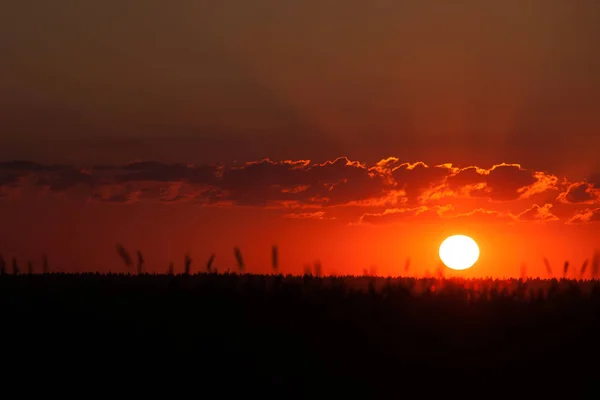 Coucher Soleil Sur Terrain Été — Photo