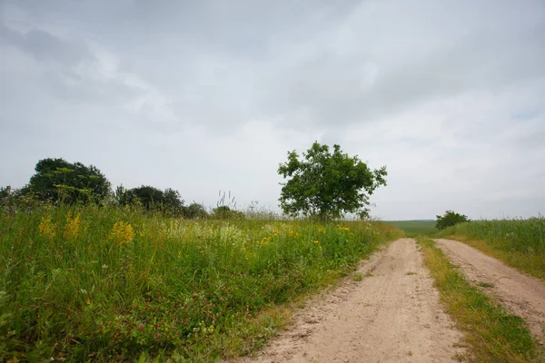 Paesaggio Rurale Estivo Con Campo Strada — Foto Stock