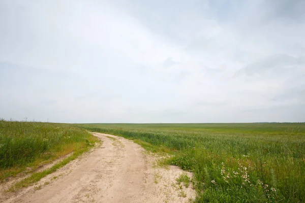 Paisaje Rural Verano Con Campo Carretera —  Fotos de Stock