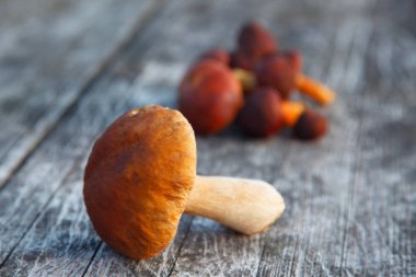 ahşap bir masa üzerinde orman boletus
