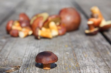 ahşap bir masa üzerinde orman boletus