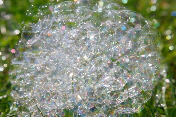 Zeepbellen Het Gras — Stockfoto