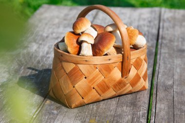 ahşap bir masa üzerinde sepette orman boletus