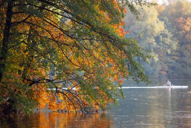 Orman ve nehir ile Sonbahar manzara