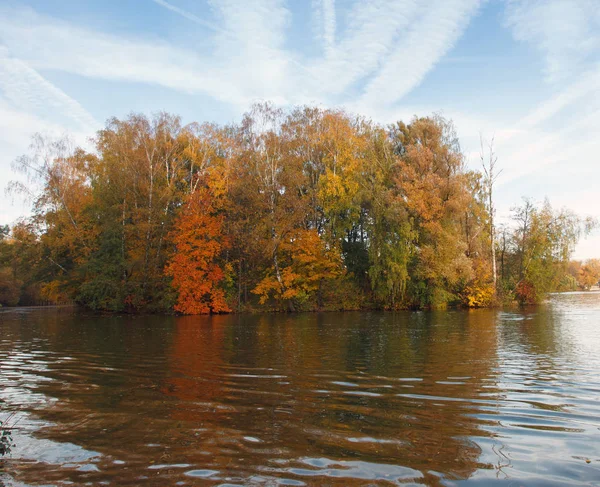 Höstlandskap Med Skogen Och Älven — Stockfoto