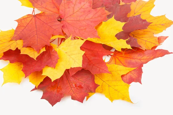 Colored Autumn Leaves Table — Stock Photo, Image