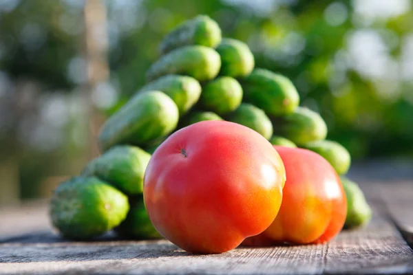 Pepinos Tomates Mesa Madera — Foto de Stock