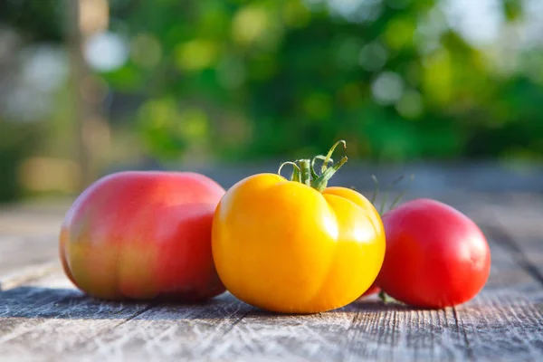 Los Tomates Mesa Madera —  Fotos de Stock