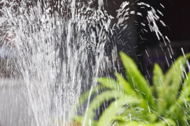 siyah arka plan üzerinde yeşil bitki ile çeşme