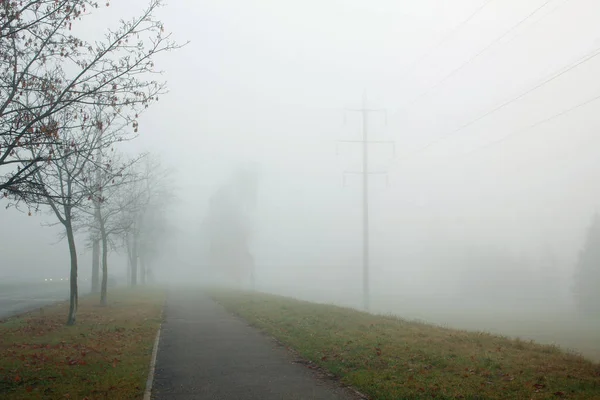 Autumn Landscape Power Line Trees Fog — Stock Photo, Image