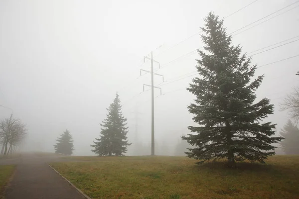 Paisaje Otoñal Con Línea Eléctrica Árboles Niebla —  Fotos de Stock