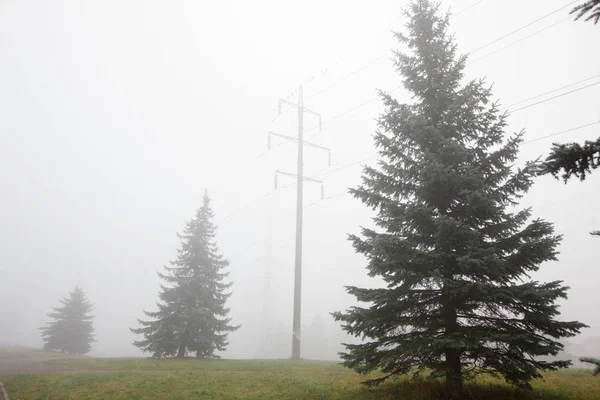 Herbstlandschaft Mit Hochspannungsleitung Und Bäumen Nebel — Stockfoto