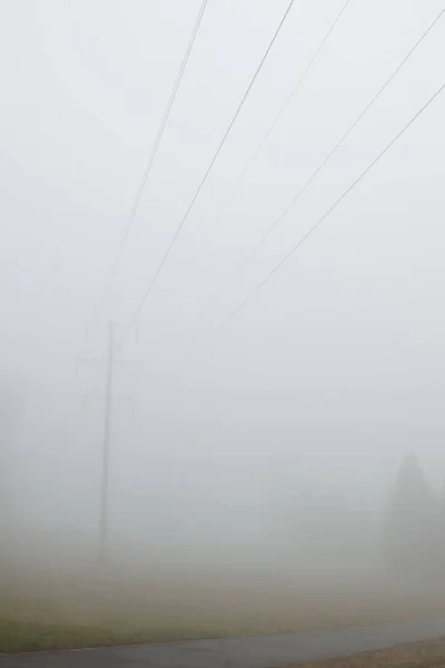 Autumn Landscape Power Line Trees Fog — Stock Photo, Image