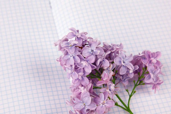 Lilac flowers on a squared exercise-book