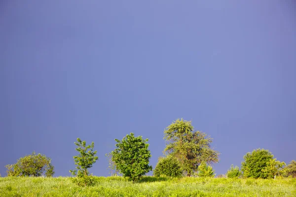 Evening Landscape Thunderstorm — Stock Photo, Image