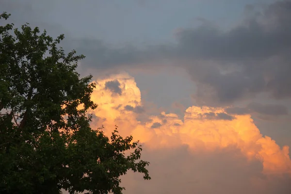 Paisagem Com Pôr Sol Nuvens Cumulus — Fotografia de Stock