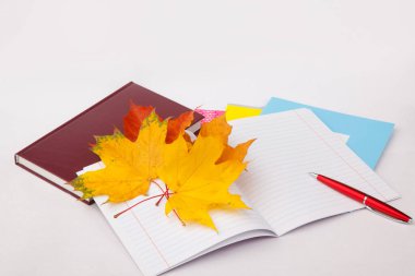 Öğrenim için okul malzemeleri