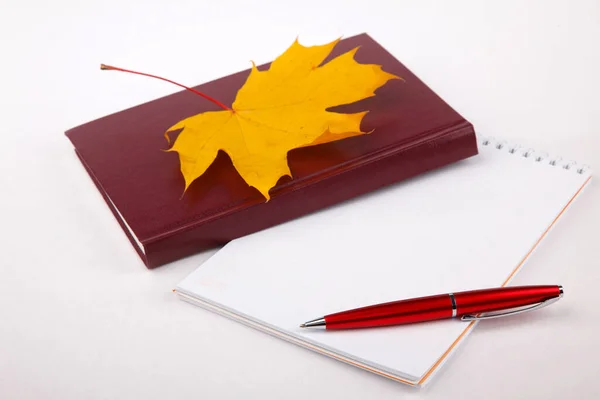 the book and autumn leaves