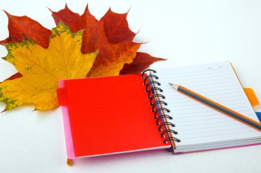 Kitap ve sonbahar yaprakları.