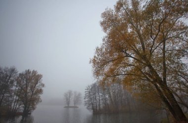 Ağaçlarla ve sisli nehirle sonbahar manzarası